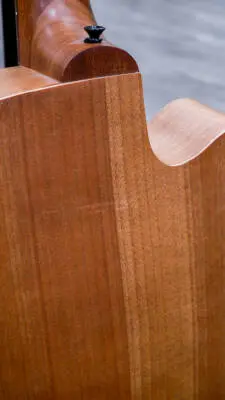 Gold Tone - Micro Bass 25'' Scale Fretless Cutaway Electric-Acoustic Bass 2